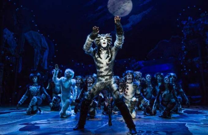 Cats at Starlight Theatre